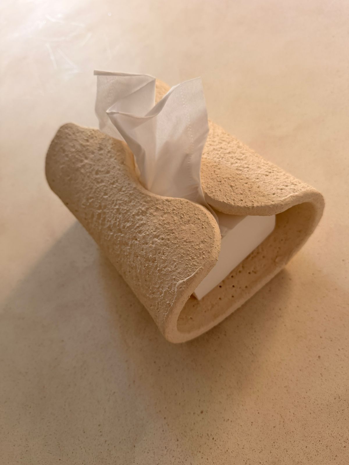 Tissue Holder